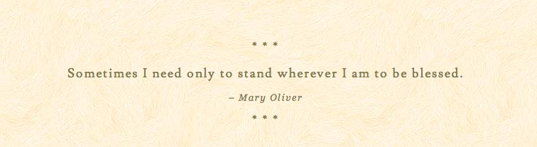 Mary Oliver Quote